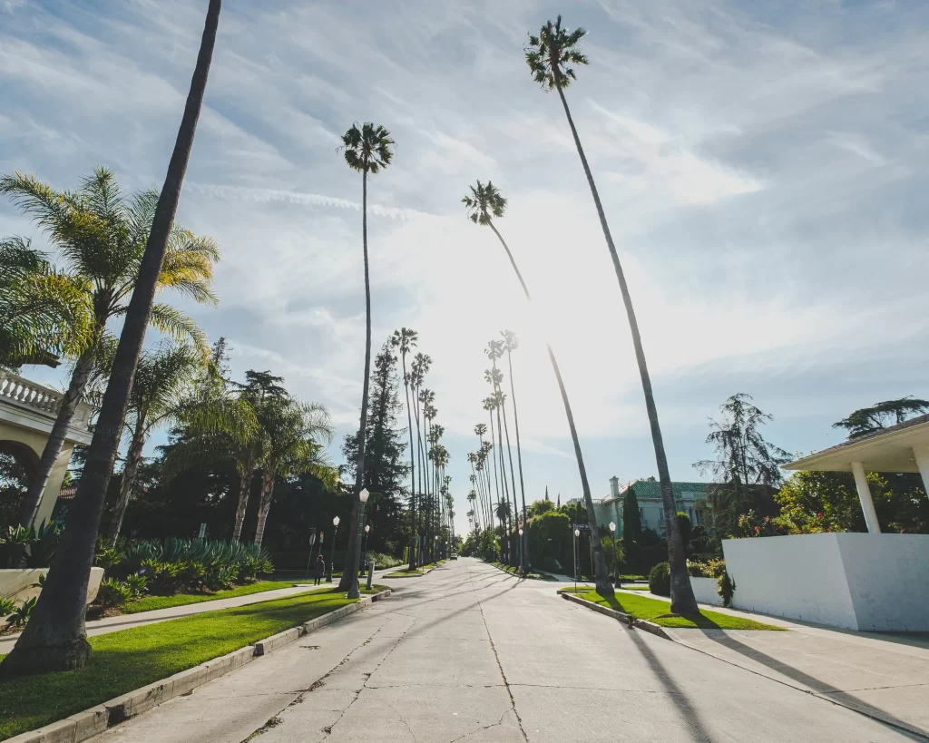 Superior Court of the State of California Divorce Matter – Court Declaration and Expert Witness