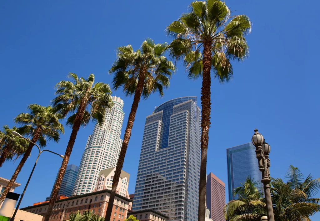 Superior Court of the State of California Divorce Matter – International Asset Tracing